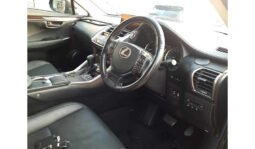 Lexus NX300 2019 full
