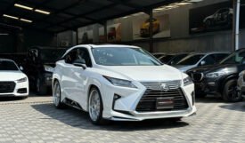 Lexus RX300 2018