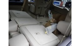 Toyota Land Cruiser 2019 full