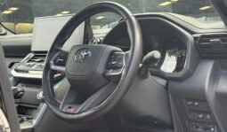 
Toyota Land cruiser ZX 300 2021 full									