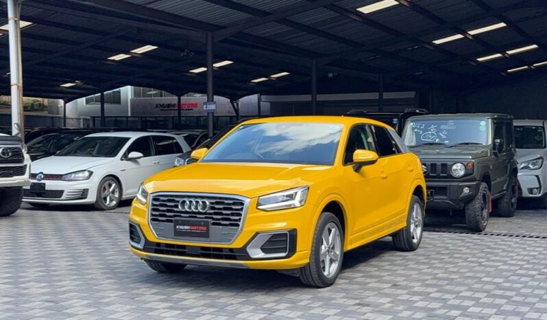 Audi Q2 2018 full