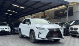 Lexus RX300 2018