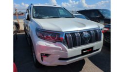 Toyota Land Cruiser Prado 2019