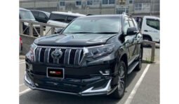 
Toyota Land Cruiser Prado 2018 full									
