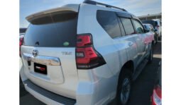 
Toyota Land Cruiser Prado 2019 full									