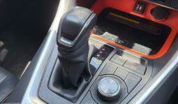 Toyota RAV4 2019 full