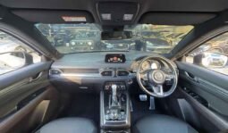 Mazda CX8 2018 full