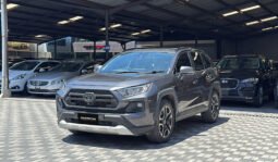 Toyota RAV4 2019 full