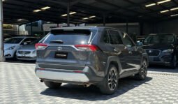 Toyota RAV4 2019 full