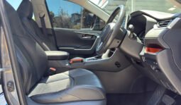 Toyota RAV4 2019 full